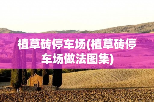 植草砖停车场(植草砖停车场做法图集)