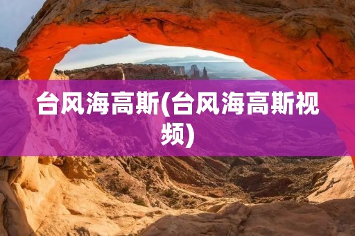 台风海高斯(台风海高斯视频)