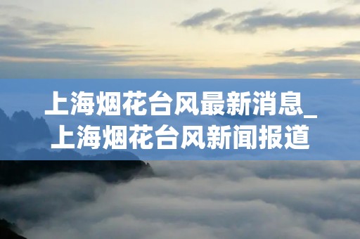 上海烟花台风最新消息_上海烟花台风新闻报道