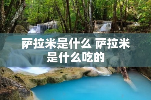 萨拉米是什么 萨拉米是什么吃的