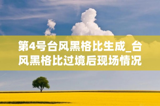 第4号台风黑格比生成_台风黑格比过境后现场情况 第4号台风黑格比生成_台风黑格比过境后现场情况
