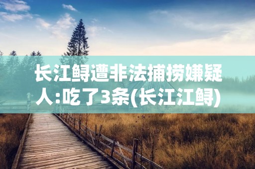 长江鲟遭非法捕捞嫌疑人:吃了3条(长江江鲟)