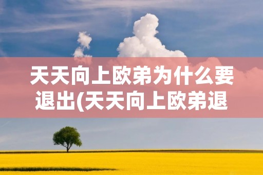 天天向上欧弟为什么要退出(天天向上欧弟退出真实原因揭秘) 天天向上欧弟为什么要退出(天天向上欧弟退出真实原因揭秘)