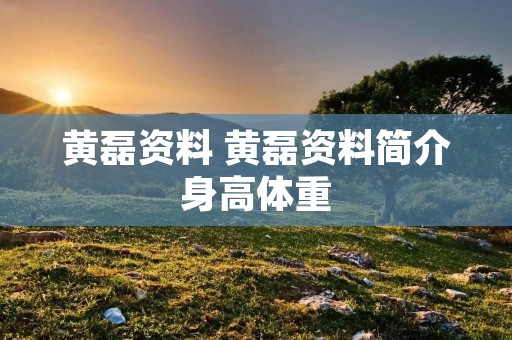 黄磊资料 黄磊资料简介身高体重