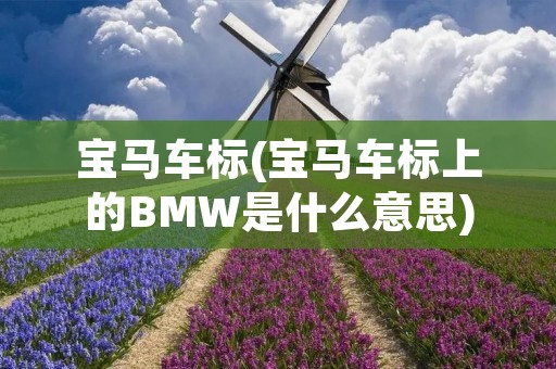 宝马车标(宝马车标上的BMW是什么意思)