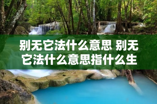 别无它法什么意思 别无它法什么意思指什么生肖