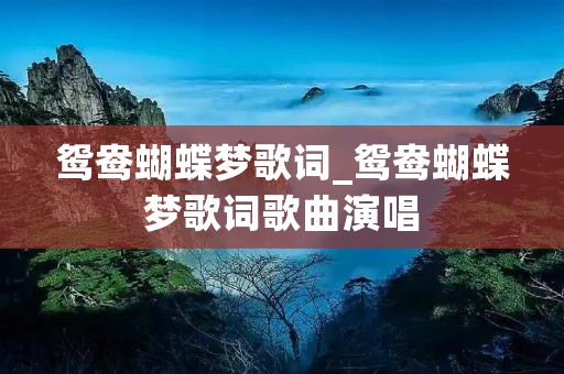 鸳鸯蝴蝶梦歌词_鸳鸯蝴蝶梦歌词歌曲演唱