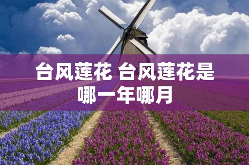 台风莲花 台风莲花是哪一年哪月 台风莲花 台风莲花是哪一年哪月