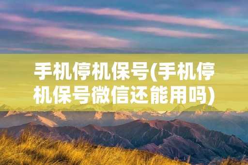 手机停机保号(手机停机保号微信还能用吗)