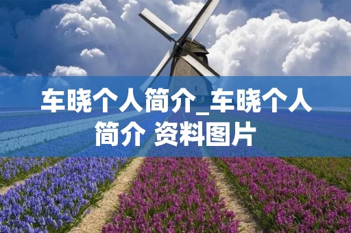 车晓个人简介_车晓个人简介 资料图片