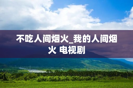 不吃人间烟火_我的人间烟火 电视剧