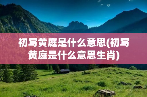 初写黄庭是什么意思(初写黄庭是什么意思生肖)