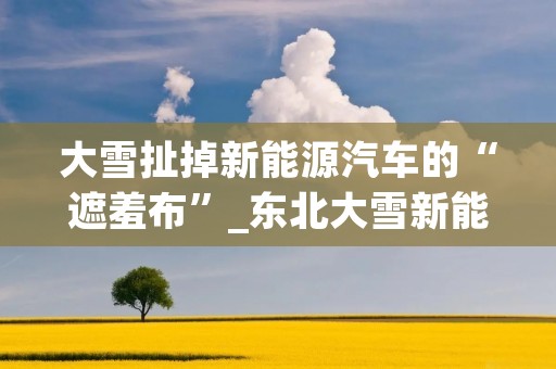 大雪扯掉新能源汽车的“遮羞布”_东北大雪新能源车主 大雪扯掉新能源汽车的“遮羞布”_东北大雪新能源车主