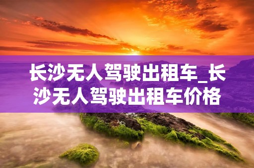 长沙无人驾驶出租车_长沙无人驾驶出租车价格