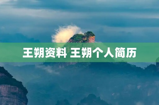 王朔资料 王朔个人简历
