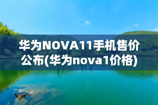 华为NOVA11手机售价公布(华为nova1价格) 华为NOVA11手机售价公布(华为nova1价格)