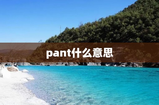 pant什么意思 pant什么意思