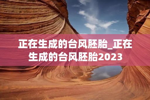 正在生成的台风胚胎_正在生成的台风胚胎2023 正在生成的台风胚胎_正在生成的台风胚胎2023