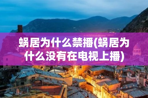 蜗居为什么禁播(蜗居为什么没有在电视上播) 蜗居为什么禁播(蜗居为什么没有在电视上播)