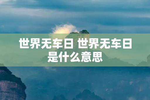 世界无车日 世界无车日是什么意思