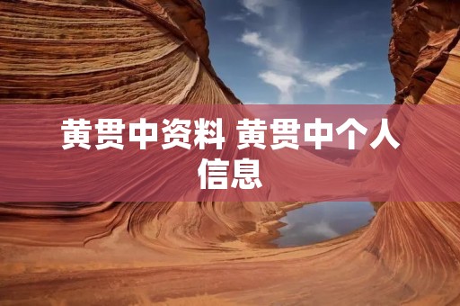 黄贯中资料 黄贯中个人信息