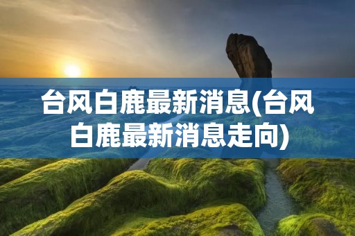 台风白鹿最新消息(台风白鹿最新消息走向)