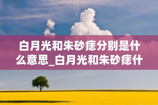 白月光和朱砂痣分别是什么意思_白月光和朱砂痣什么意思?