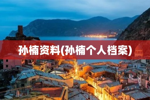 孙楠资料(孙楠个人档案)