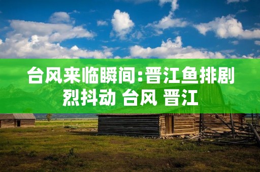 台风来临瞬间:晋江鱼排剧烈抖动 台风 晋江