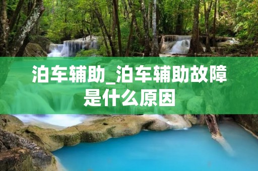 泊车辅助_泊车辅助故障是什么原因