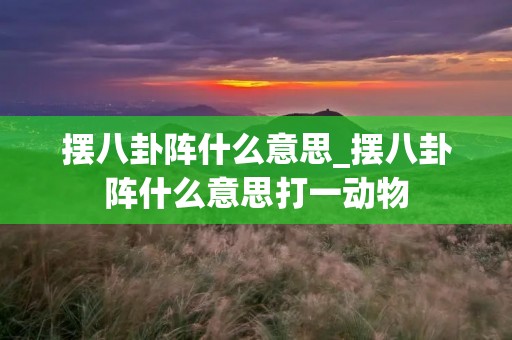 摆八卦阵什么意思_摆八卦阵什么意思打一动物 摆八卦阵什么意思_摆八卦阵什么意思打一动物