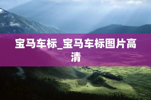宝马车标_宝马车标图片高清