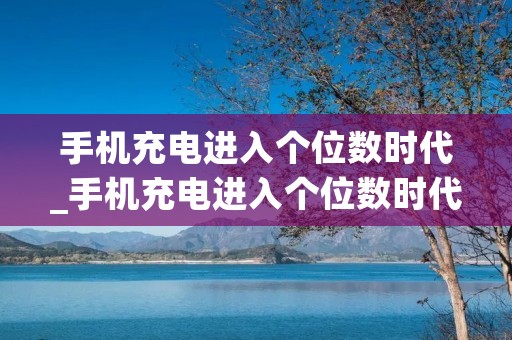 手机充电进入个位数时代_手机充电进入个位数时代k