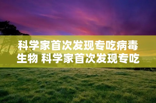 科学家首次发现专吃病毒生物 科学家首次发现专吃病毒生物0
