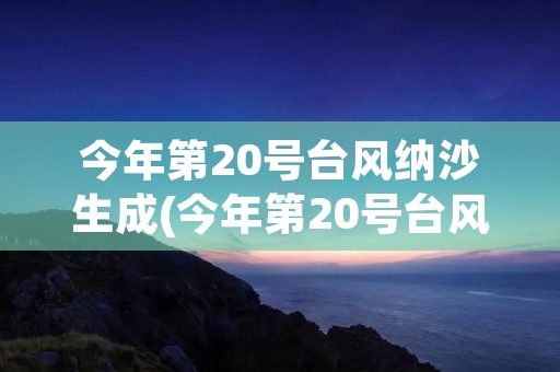 今年第20号台风纳沙生成(今年第20号台风纳沙生成及方向)