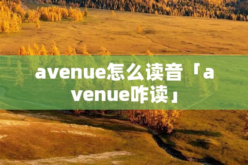 avenue怎么读音「avenue咋读」