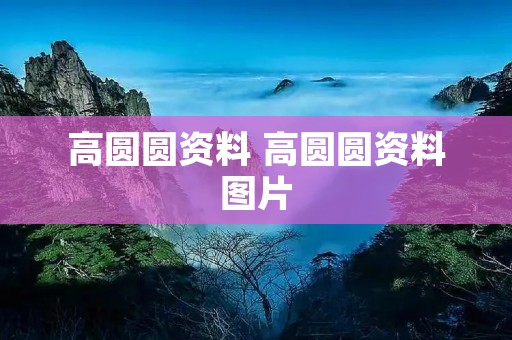 高圆圆资料 高圆圆资料图片
