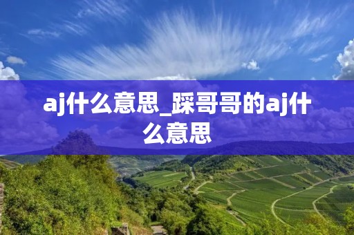 aj什么意思_踩哥哥的aj什么意思