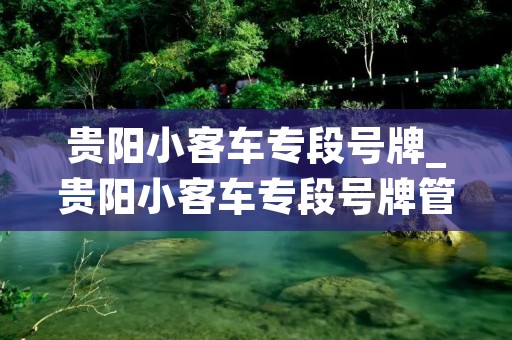 贵阳小客车专段号牌_贵阳小客车专段号牌管理系统