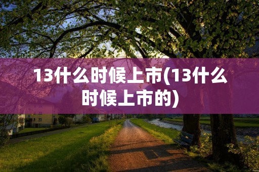 13什么时候上市(13什么时候上市的)