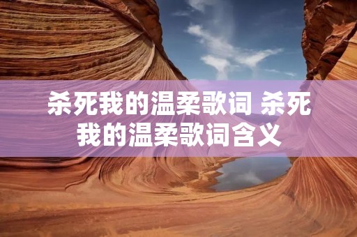 杀死我的温柔歌词 杀死我的温柔歌词含义