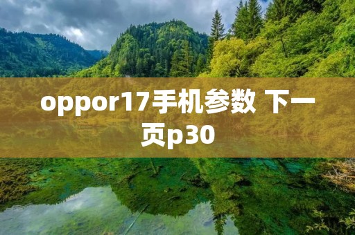 oppor17手机参数 下一页p30