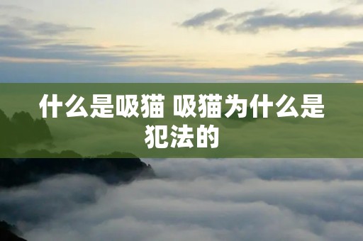 什么是吸猫 吸猫为什么是犯法的