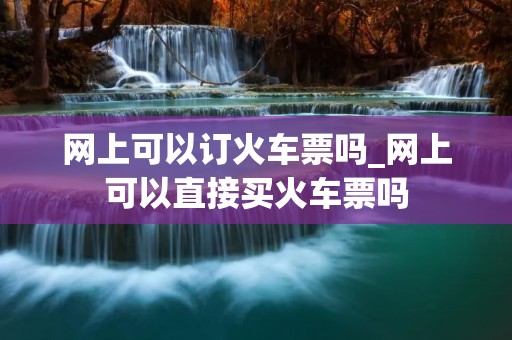 网上可以订火车票吗_网上可以直接买火车票吗