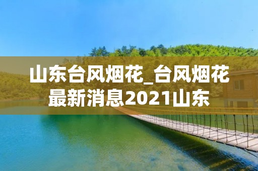山东台风烟花_台风烟花最新消息2021山东
