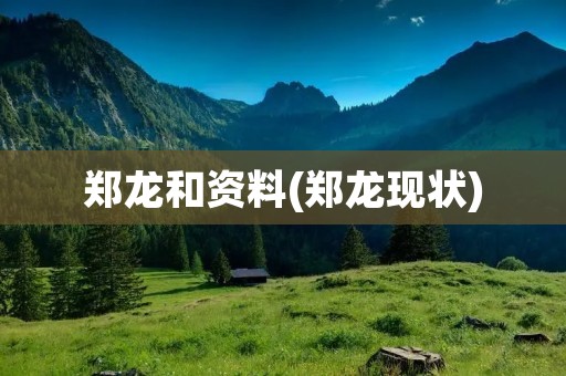 郑龙和资料(郑龙现状)