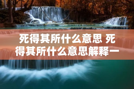 死得其所什么意思 死得其所什么意思解释一下 死得其所什么意思 死得其所什么意思解释一下
