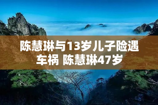 陈慧琳与13岁儿子险遇车祸 陈慧琳47岁