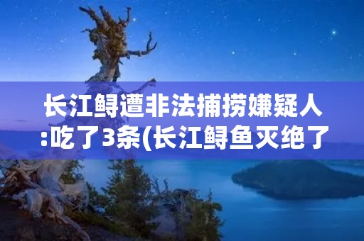 长江鲟遭非法捕捞嫌疑人:吃了3条(长江鲟鱼灭绝了吗?)