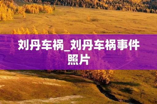 刘丹车祸_刘丹车祸事件照片